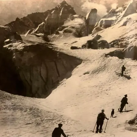 Alpenflair 102 Frohnatur *